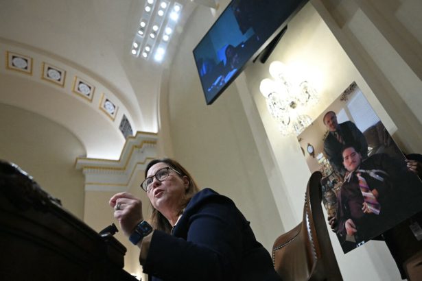 DHS shutdown curbs detention oversight, Democrat says : NPR