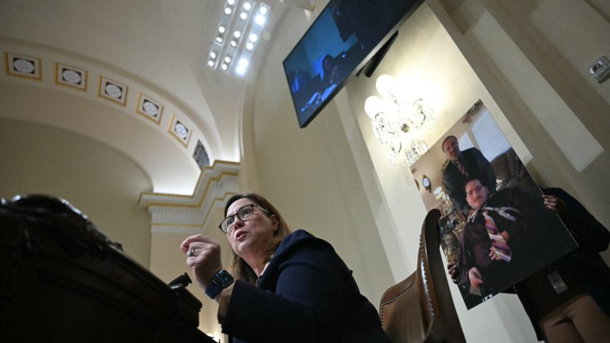 DHS shutdown curbs detention oversight, Democrat says : NPR