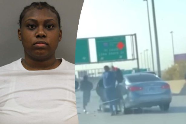 Dan Ryan Expressway carjacking accomplice gets 6 year prison sentence