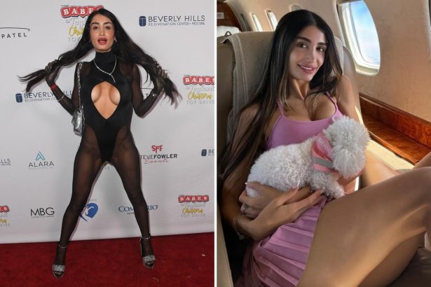 Details emerge after Penthouse Pet wooed old men before robbing them