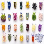 Dive into Wool Creature Lab’s World of Vibrant Felted Nudibranchs — Colossal
