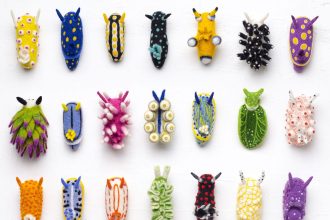 Dive into Wool Creature Lab’s World of Vibrant Felted Nudibranchs — Colossal