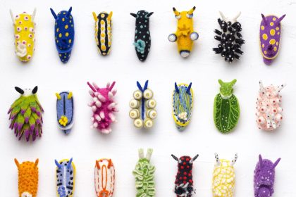 Dive into Wool Creature Lab’s World of Vibrant Felted Nudibranchs — Colossal