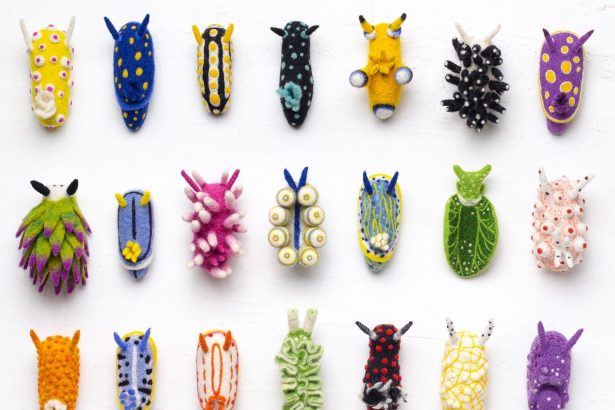 Dive into Wool Creature Lab’s World of Vibrant Felted Nudibranchs — Colossal