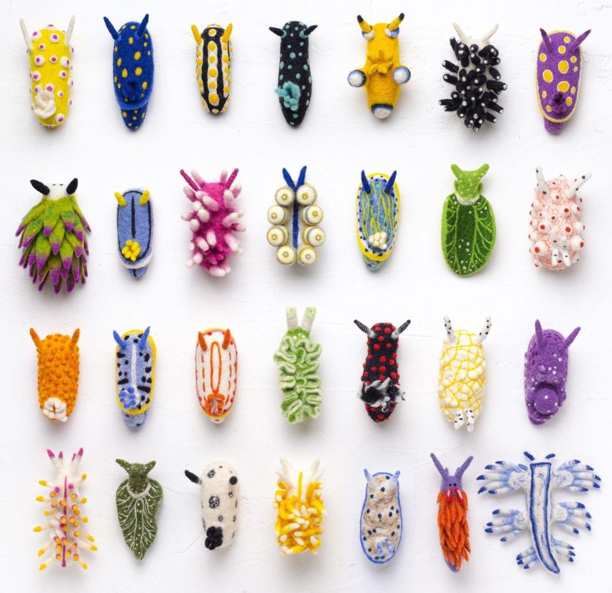 Dive into Wool Creature Lab’s World of Vibrant Felted Nudibranchs — Colossal