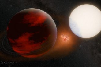 Do alien exoplanets have exomoons and exorings?