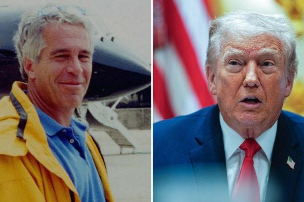 Donald Trump’s DOJ Accused of Shredding Files After His Death