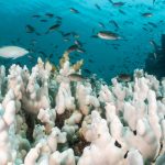 Earth is now heating up twice as fast as in previous decades