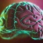 Exercise Triggers Memory-Related ‘Brain Ripples’, Study Finds : ScienceAlert