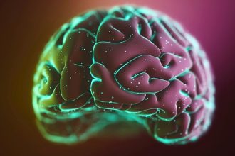 Exercise Triggers Memory-Related ‘Brain Ripples’, Study Finds : ScienceAlert