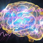 Expert Reveals 3 Simple Ways to Stop Constant Sounds Hijacking Your Brain : ScienceAlert