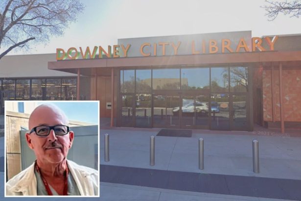 Family sues Downey for M after scientist fatally stabbed while charging Tesla at library