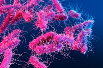 Fecal transplants from old mice boost fertility in younger ones