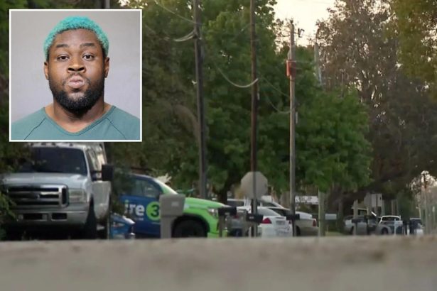 Florida father accused of shaking five-week-old daughter to death