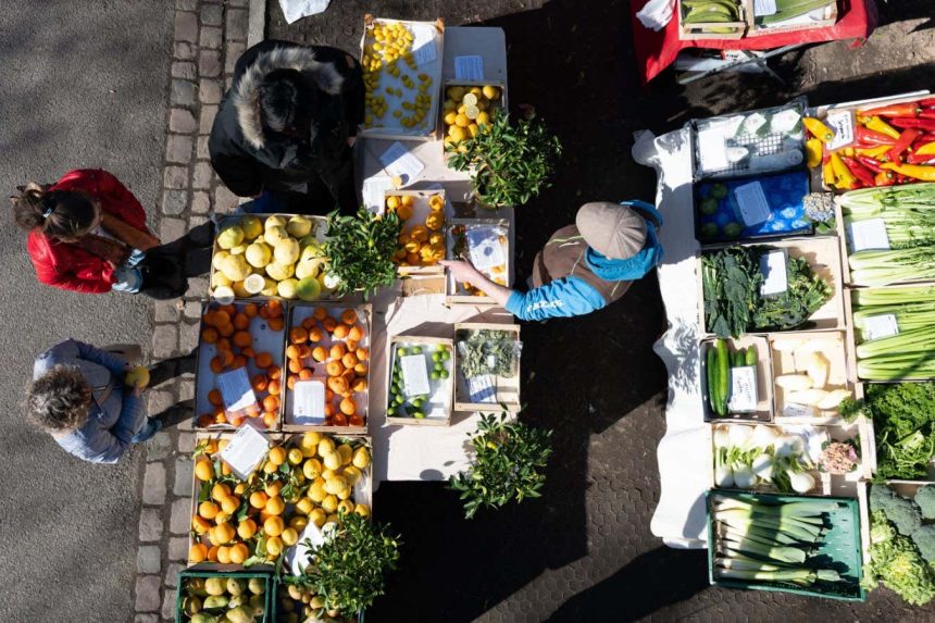 Food shock is inevitable due to the Iran war – and it could get bad