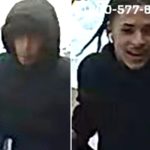 Girl shoved against wall, pricey necklace ripped off neck in NYC heist