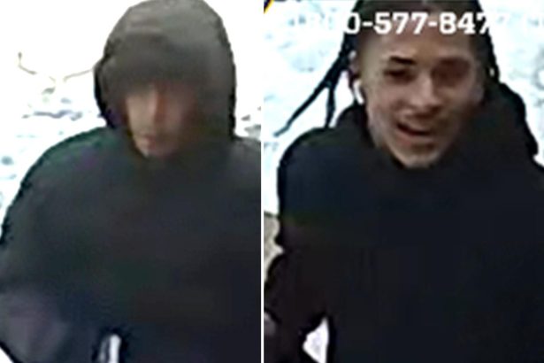 Girl shoved against wall, pricey necklace ripped off neck in NYC heist