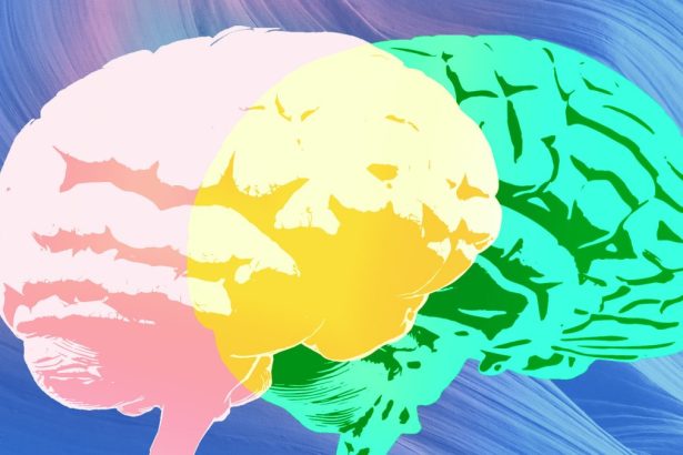 Grammarly’s ‘expert review’ is just missing the actual experts