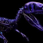 Grant Garmezy Molds a Full-Size Dakotaraptor from Molten Glass — Colossal