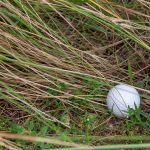 Guest Idea: The Hidden Environmental Cost of Lost Golf Balls