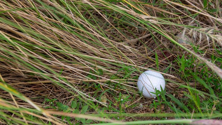 Guest Idea: The Hidden Environmental Cost of Lost Golf Balls