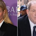 Gwyneth Paltrow ‘Seething’ Over Weinstein Abuse Claim