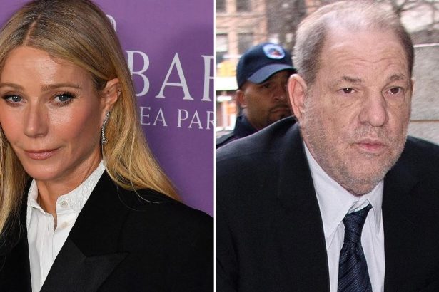 Gwyneth Paltrow ‘Seething’ Over Weinstein Abuse Claim