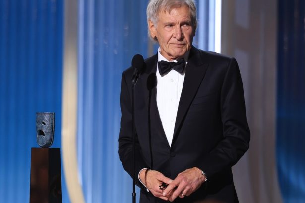 Harrison Ford Gets Life Achievement at Actor Awards
