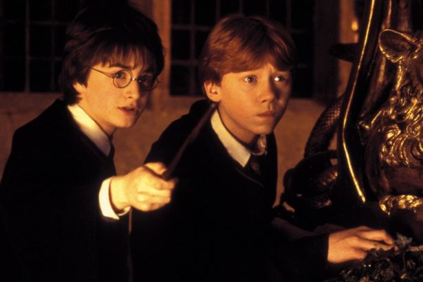Hasbro CEO Defends Harry Potter Toys Amid JK Rowling Transphobia