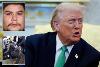 Here’s how many illegal migrant gangbangers DHS arrested this year under Trump