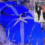 Husband, 75, busted after dismembered remains of his much-younger wife found scattered in NYC: cops