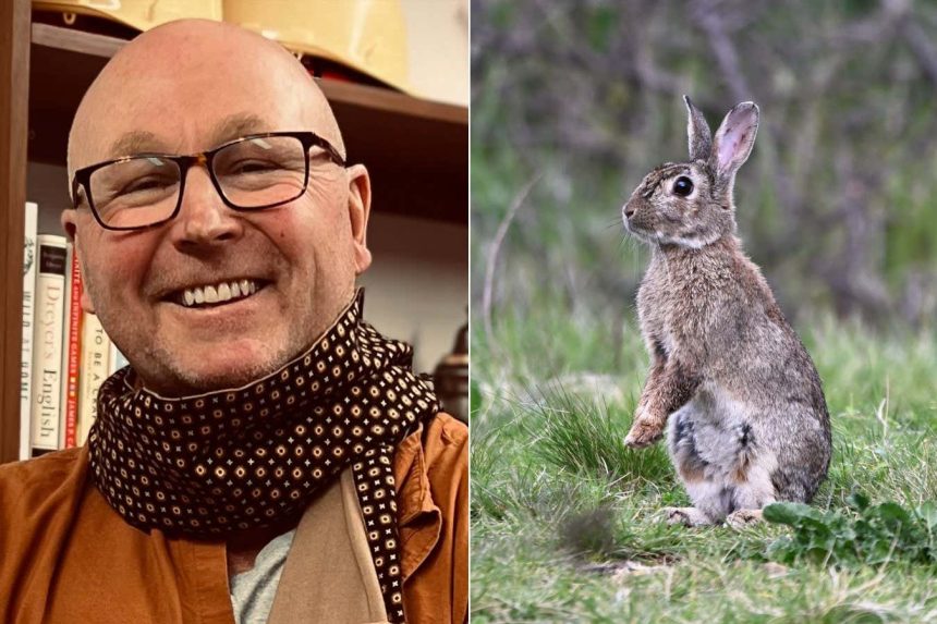 I was accused of killing over 100 million rabbits across Australia