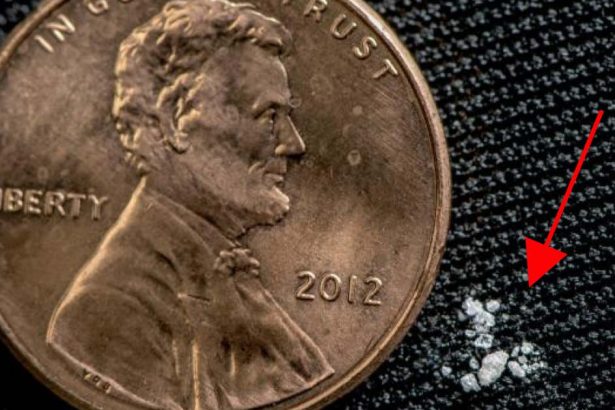 Illinois bill would reclassify fentanyl overdoses as ‘poisonings,’ but coroners say it’s ‘basically lying’