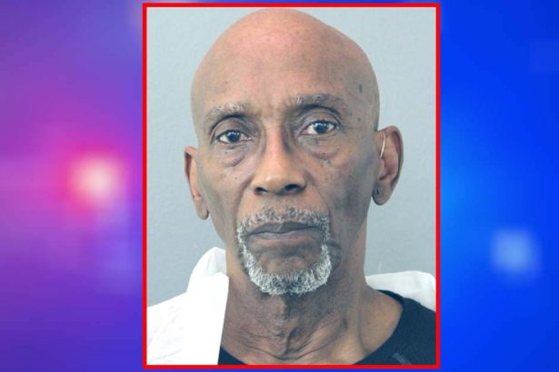 In 911 call, 75-year-old CCL holder admits to double murder: ‘They got on my #$%@ nerves!’