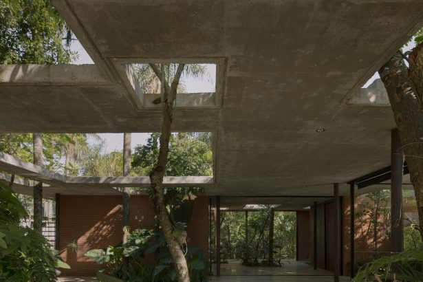 In Paraguay, Architecture Doesn’t Come at the Expense of Nature at ‘Un Bosque en La Casa’ — Colossal