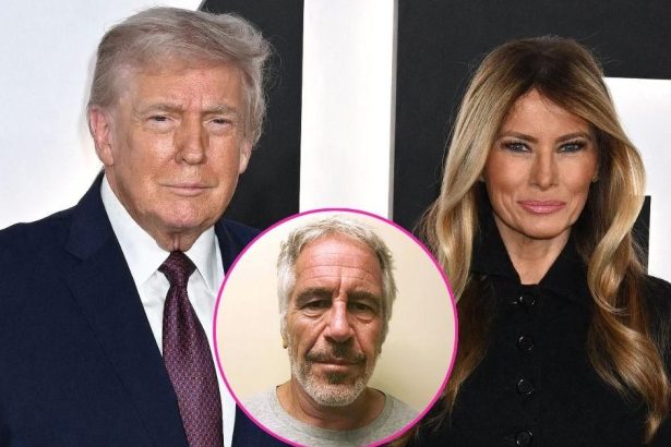 Inside Shock Claims Jeffrey Epstein Introduced Donald and Melania Trump