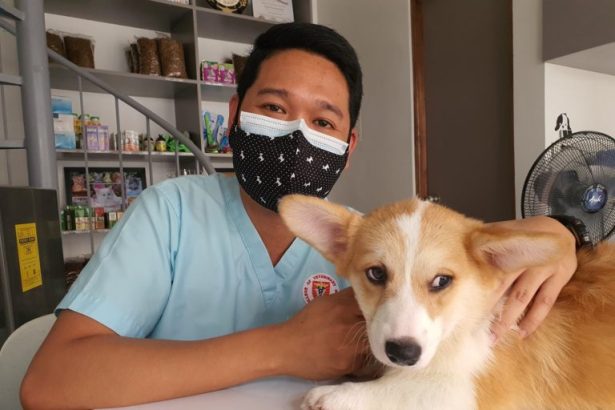 Is IDEXX Laboratories, Inc. (IDXX) A Good Stock To Buy?