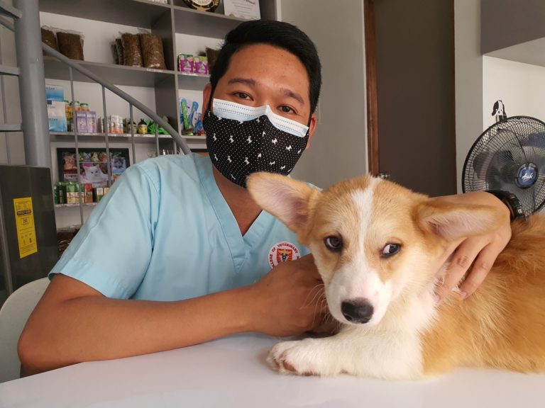 Is IDEXX Laboratories, Inc. (IDXX) A Good Stock To Buy?