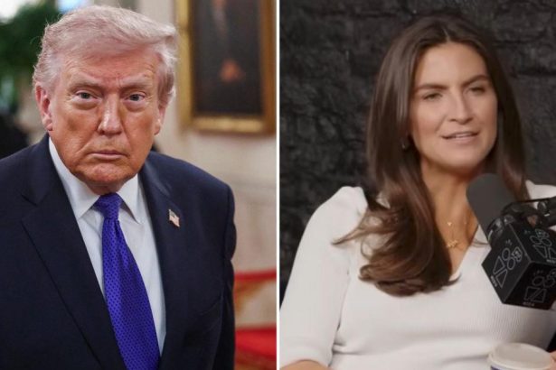 Kaitlan Collins Says Trump Is More ‘Accessible’ To Media Than Obama