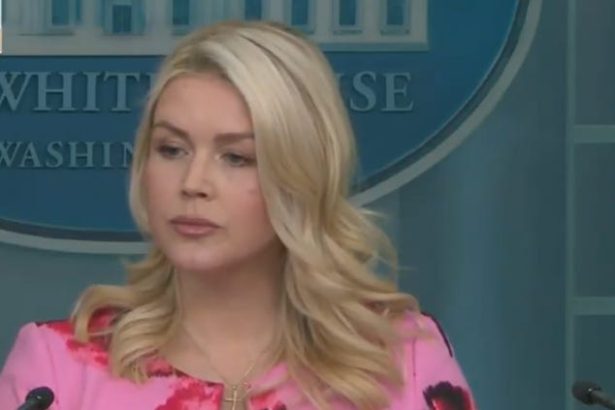 Karoline Leavitt Just Set Herself Up To Face War Crimes Charges