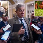 Kennedy urges GOP ‘free-range chickens’ to pass SAVE Act