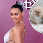 Kim Kardashian Shares Her 4 Puppies Despite PETA Backlash