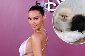 Kim Kardashian Shares Her 4 Puppies Despite PETA Backlash
