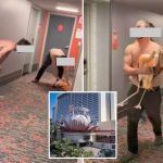 Las Vegas tourist steals flamingo, takes selfies while ‘choking’ it: cops