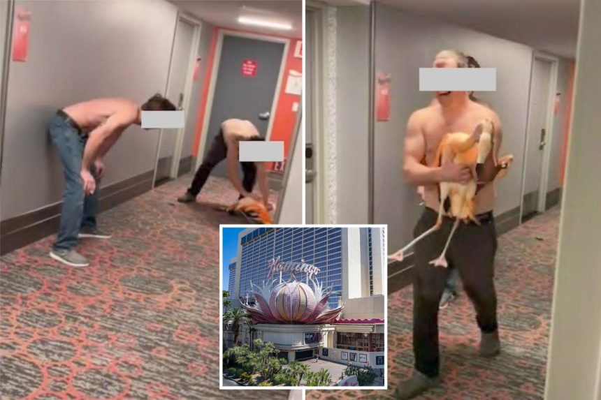 Las Vegas tourist steals flamingo, takes selfies while ‘choking’ it: cops