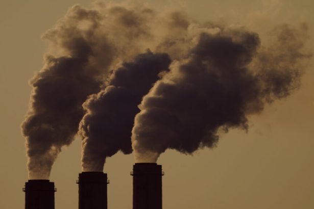 Lead exposure plays little-noticed role in cardiovascular deaths