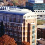 Leucovorin, Jeffrey Epstein, sex differences: Morning Rounds