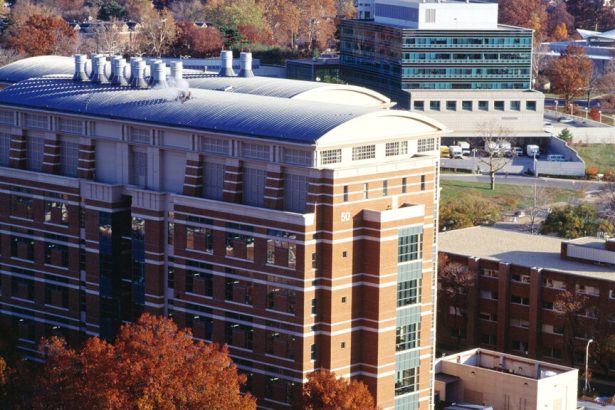 Leucovorin, Jeffrey Epstein, sex differences: Morning Rounds