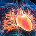 Magnetic Fluid Injected Into The Heart May Prevent Strokes, Scientists Think : ScienceAlert