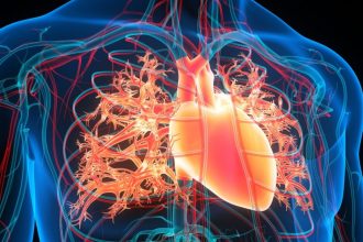 Magnetic Fluid Injected Into The Heart May Prevent Strokes, Scientists Think : ScienceAlert